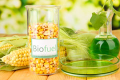 Birmingham biofuel availability